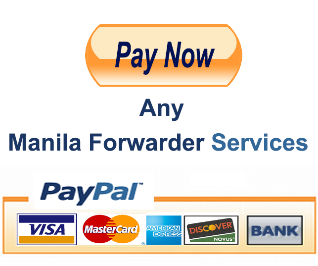Paynow Services